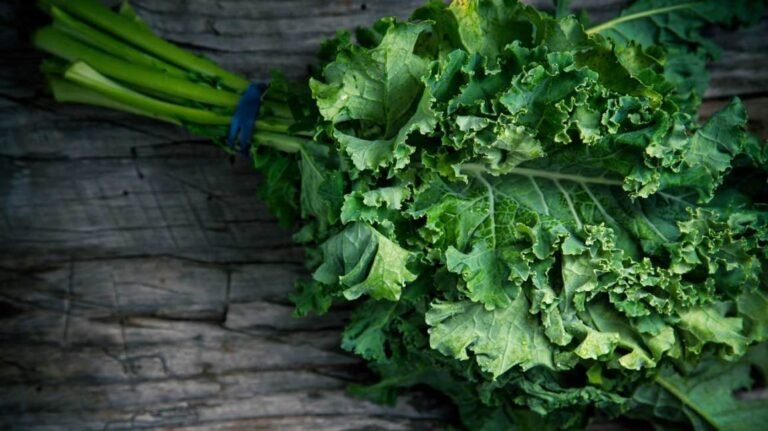 Benefits of Eating Kale