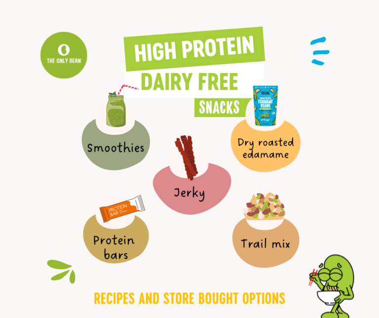 High Protein Dairy Free Snacks